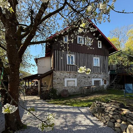 Vila Adelka - Utulna Chalupa V Krkonosich Horní Maršov Dış mekan fotoğraf
