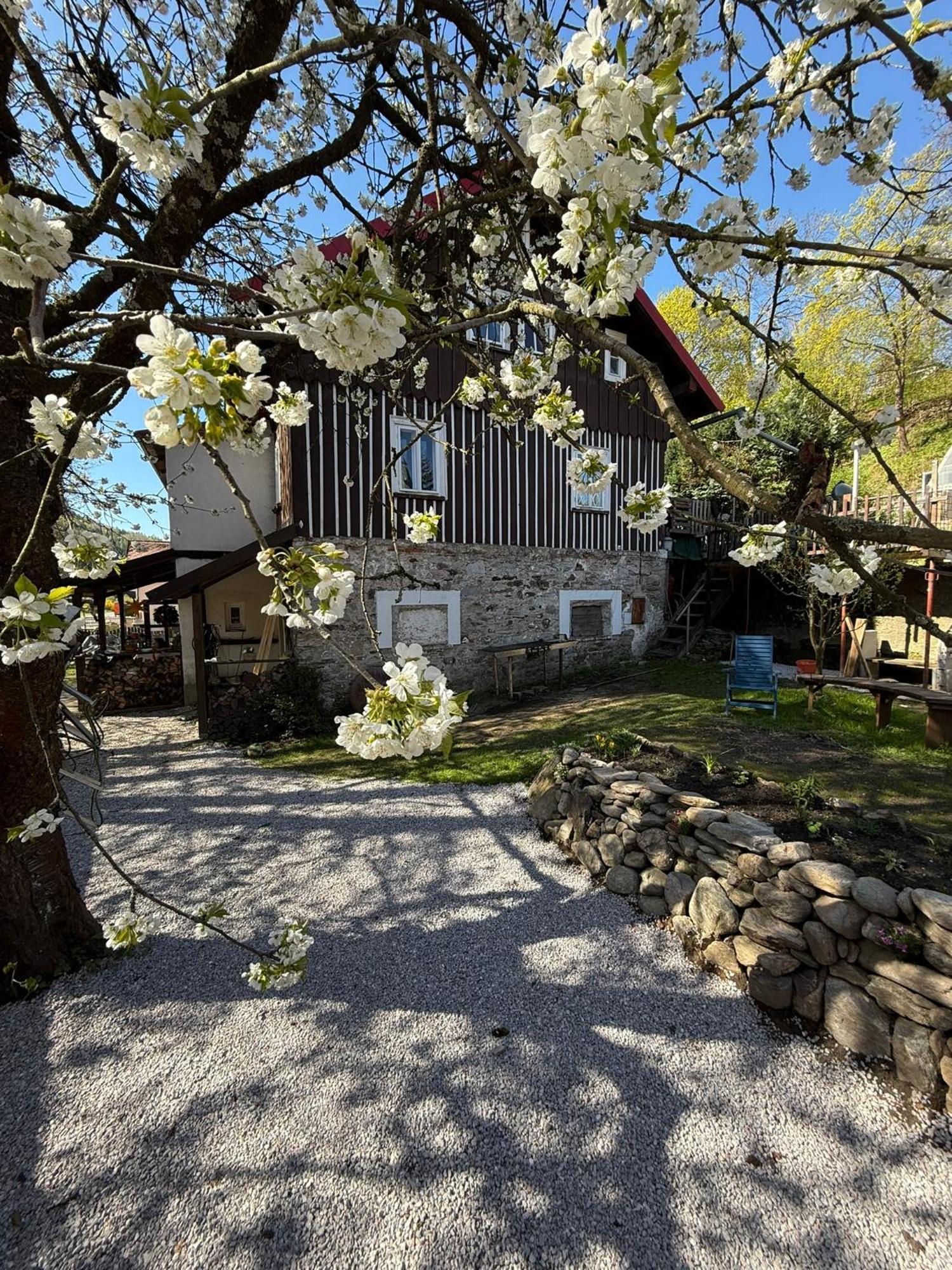 Vila Adelka - Utulna Chalupa V Krkonosich Horní Maršov Dış mekan fotoğraf